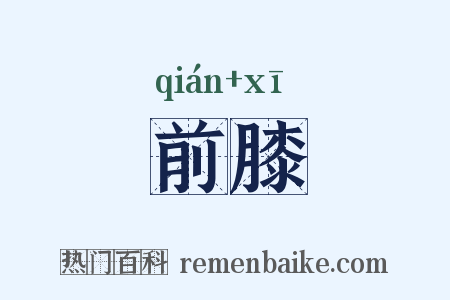 前膝是什么意思的图片